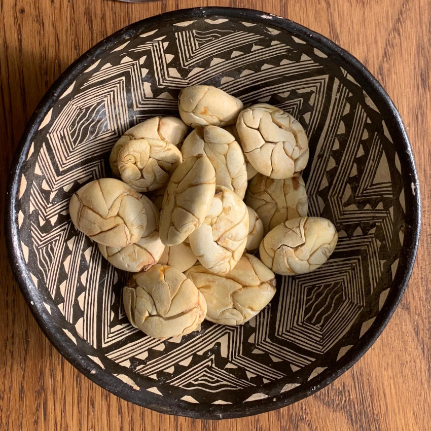 Getrocknete Macambo Samen (Theobroma Bicolor / Jaguar Kakao) Ecuador